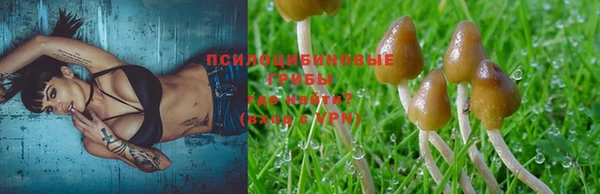 не бодяженный Алексин