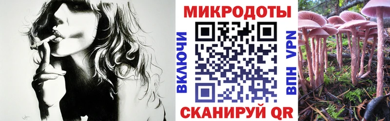 площадка наркотические препараты  Глазов  Псилоцибиновые грибы ЛСД  купить закладку 