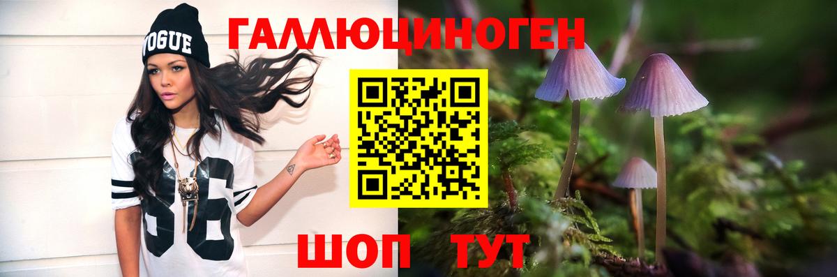 Глазов  Псилоцибиновые грибы Psilocybe  Вход с VPN 